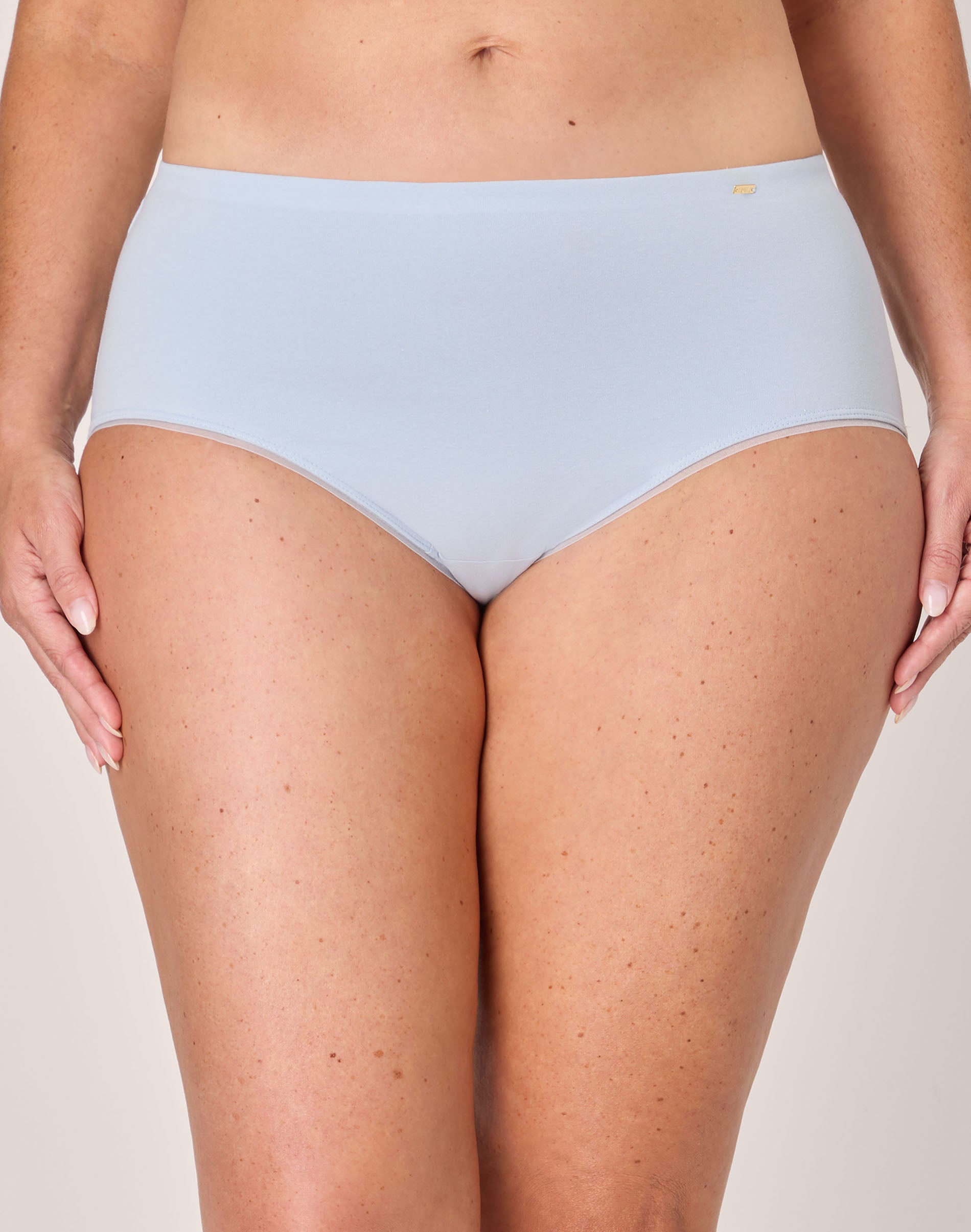 Bali Lux Underwear Brief, Light Tummy Support, Cotton-Stretch Essentials, Moisture Wicking Salty Pepper Grey 6 Women's